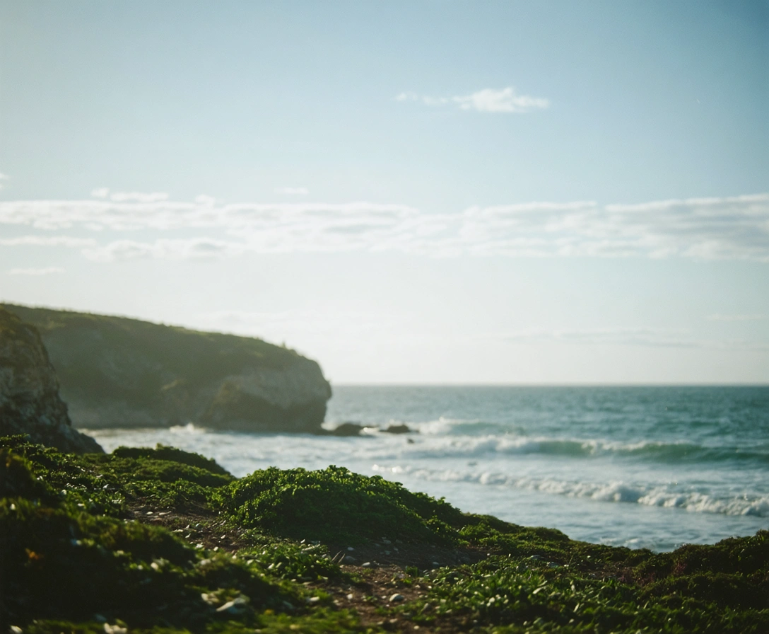 Coastal landscape under soft natural light